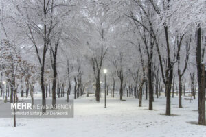 شرایط یخبندان در استان ایلام همچنان حاکم است