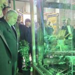 صالحی‌امیری: هتک حرمت حرم سبزقبا چهره واقعی دشمنان ایران را آشکار کرد