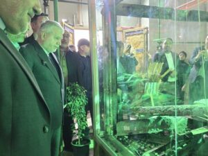 صالحی‌امیری: هتک حرمت حرم سبزقبا چهره واقعی دشمنان ایران را آشکار کرد