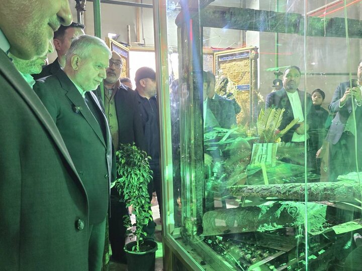 صالحی‌امیری: هتک حرمت حرم سبزقبا چهره واقعی دشمنان ایران را آشکار کرد