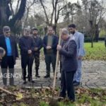 صدیقی: ۶۳ اصله نهال به نام سردار دل‌ ها در آستانه اشرفیه غرس شد