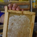 عسل طبیعی رنگ ثابتی ندارد