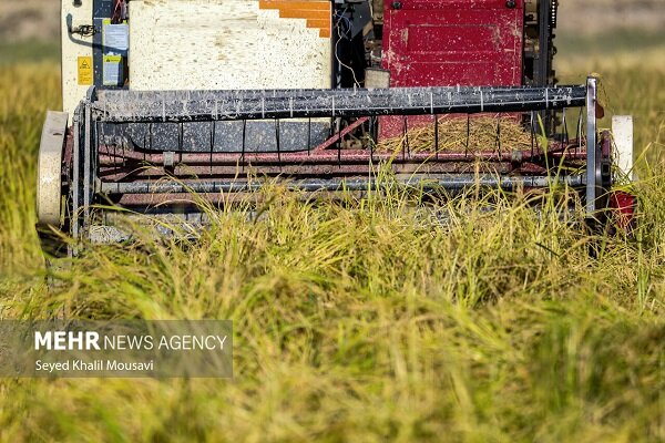 فرسودگی بیش از۶۰درصد ناوگان کشاورزی درگلستان؛تهدیدی برای امنیت غذایی