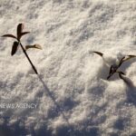 قربانپور: ورود موج بارشی جدید به آذربایجان غربی؛ بارش ها تداوم دارد