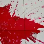 ماجرای هولناک از قتل دختر جوان توسط برادرش در شاهرود