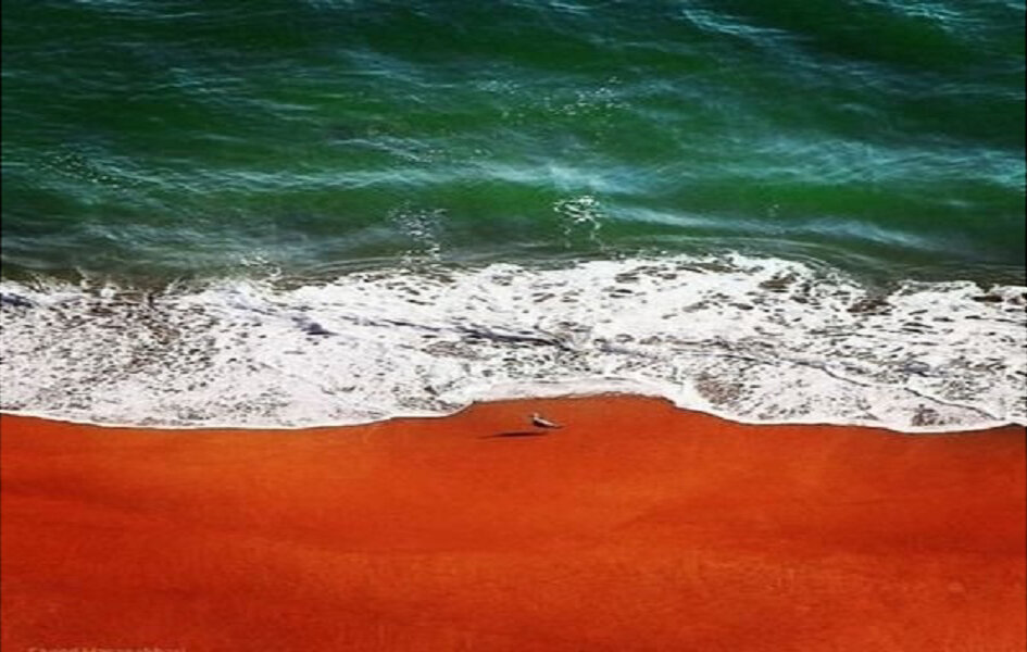 پاسخ اهالی دیار باب‌الرضا به اراجیف دشمن؛ حنای بی‌رنگ قمارباز