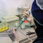 پوشش ۱۰۰ درصدی شاخص‌های بهداشتی در گیلانغرب