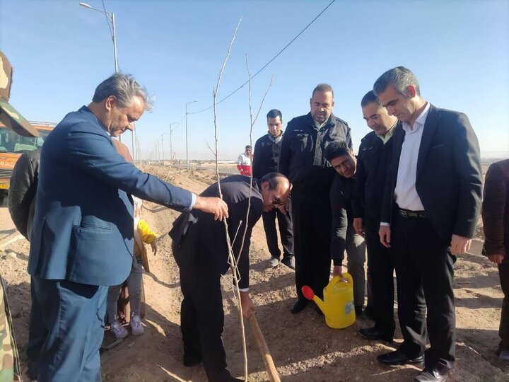 پویش درختکاری به یاد شهدای مقاومت در مهریز برگزار شد