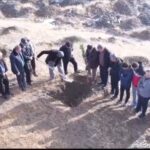 پویش ملی «درختی برای پدر، سبزی برای ایران» در سنندج برگزار شد