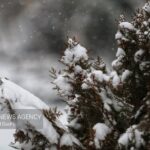 کاهش دما و بارش برف در خراسان رضوی