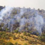 آتش در جنگل‌های هیرکانی خیبوس سوادکوه مهار شد