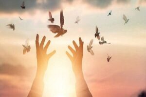 آزادی زندانی نیازمند با همت مرکز نیکوکاری امام علی(ع) کوزران