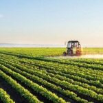 اجرای کشاورزی حفاظتی در بوشهر با هدف تاب‌آوری مقابل تغییرات اقلیمی