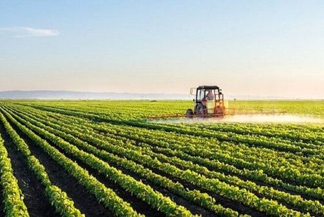 اجرای کشاورزی حفاظتی در بوشهر با هدف تاب‌آوری مقابل تغییرات اقلیمی