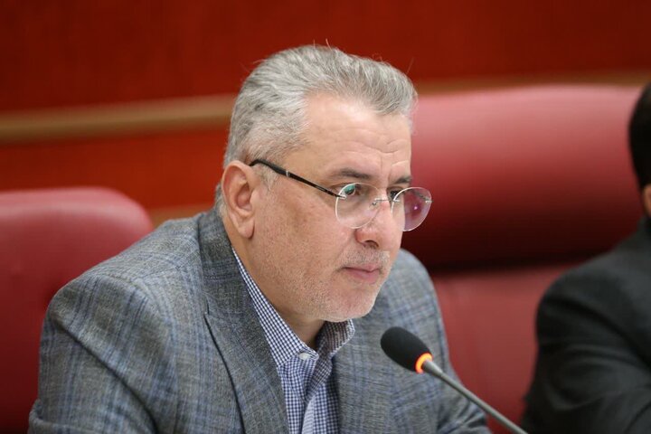 احمدپور: آثار تک‌نرخی شدن ارز برای مردم تبیین شود