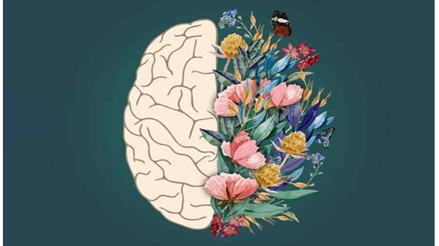 اصول اولیه درمان و مداخلات روان‌شناختی