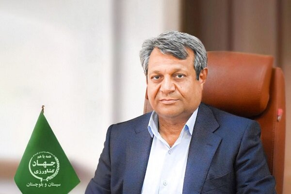 اعلام بسته های حمایتی برای «مرغداران» و «دامداران» سیستان و بلوچستان