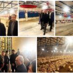 افتتاح سه واحد تولیدی مرغ گوشتی در شهرستان زاهدان