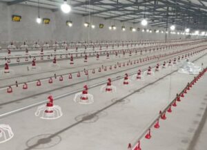 افتتاح پنج طرح کشاورزی همزمان با دهه فجر در بیجار