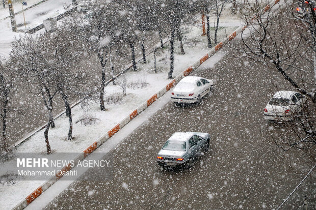 بارش برف در سقز