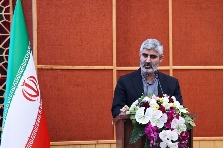 بیگدلی: بحران «رضایت خودرو» با ورود جدی وزارت صمت تعیین‌تکلیف شود