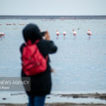 جباری: سایت پرنده‌نگری در تالاب سولدوز نقده راه اندازی شود