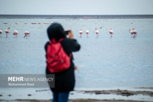 جباری: سایت پرنده‌نگری در تالاب سولدوز نقده راه اندازی شود