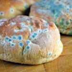 جدا کردن قسمت کپک زده از غذا کافی نیست!/ غذای کپک زده فقط مسموم نمی کند کبد و کلیه را هدف می گیرد!