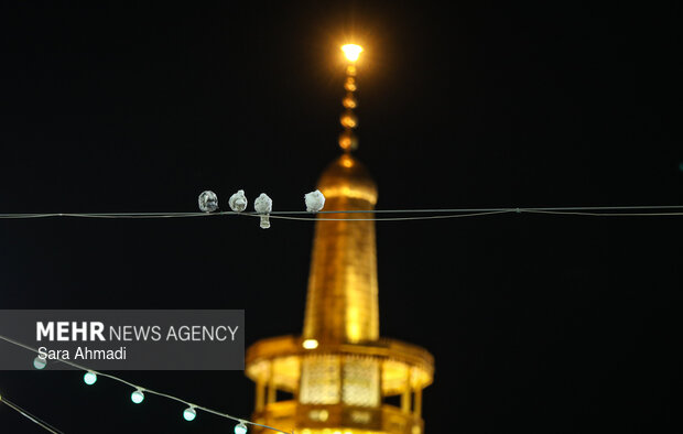 حال و هوای حرم مطهر امام رضا(ع) در شب نیمه شعبان