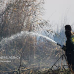 حریق حدود ۱۰ هکتاری در نیزارهای تالاب انزلی؛ عملیات مهار ادامه دارد