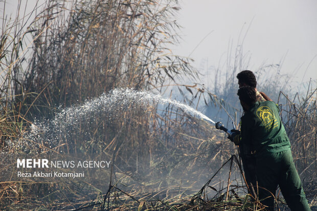 حریق حدود ۱۰ هکتاری در نیزارهای تالاب انزلی؛ عملیات مهار ادامه دارد