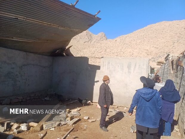 خسارت طوفان به دامداری در مهدیشهر؛ پیگیری حمایت‌های اعتباری از دامدار