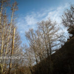 دمای هوای مشهد از فردا افزایش می یابد