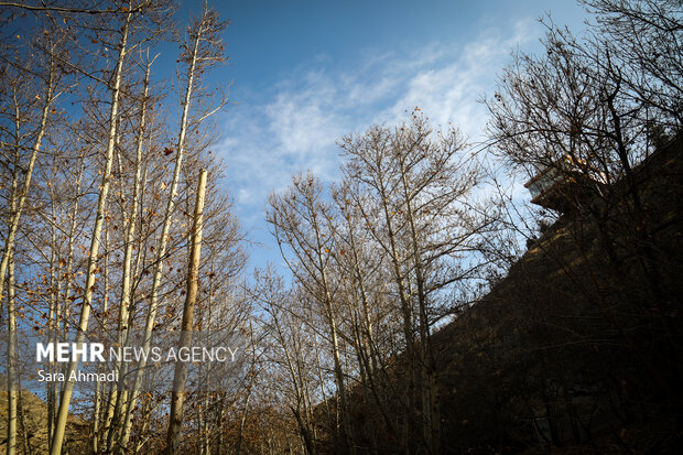 دمای هوای مشهد از فردا افزایش می یابد