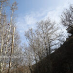 دمای هوای مشهد ۷ درجه کاهش می یابد؛ورود سامانه بارشی 