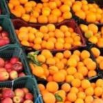 ذخیره ۴۰۰۰ تن مرکبات در میاندورود