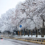 رحمان نیا: سامانه جدید بارشی از روز شنبه وارد استان زنجان می شود