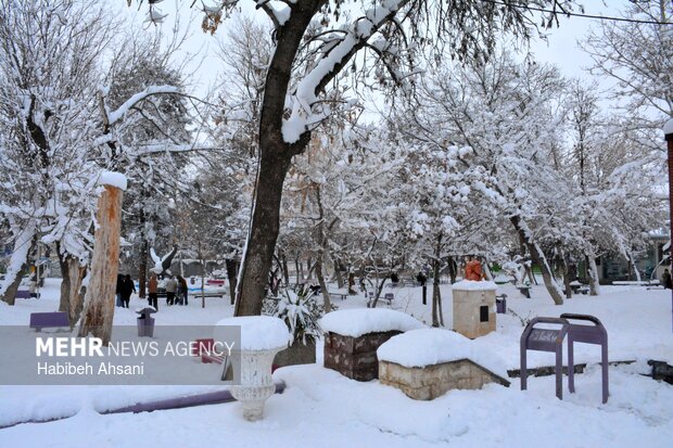 رحمان نیا: هوای سرد و یخبندان استان زنجان را فرا می گیرد