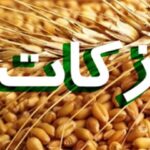 رشد ۹۸ درصدی زکات واجب در استان قزوین