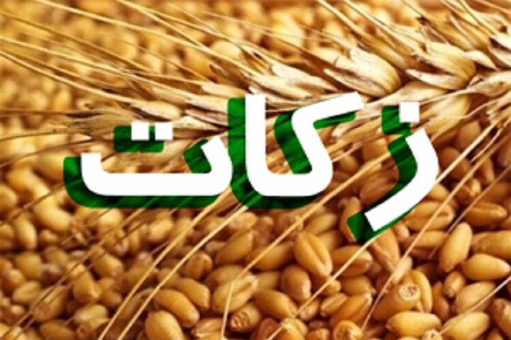 رشد ۹۸ درصدی زکات واجب در استان قزوین