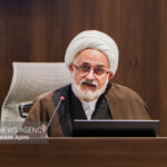 سازمان‌های مردم‌نهاد ظرفیت جریان‌سازی فرهنگی وتقویت هویت اجتماعی دارند