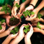 سازمان‌های مردم‌نهاد؛ فرصت مغفول توسعه در استان بوشهر