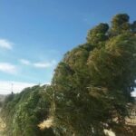 سرعت وزش باد در برخی نقاط مرکزی ۸۰ کیلومتر بر ساعت می رسد