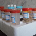 سفیدی: ۵۵ نمونه از حیات وحش اردبیل به بانک ژن ارسال شد