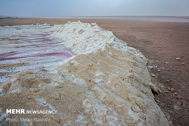 سودای «لیتیوم» و شوربختی دریاچه نمک؛ میراث ملی زیرتیغ شهرک شیمیایی است