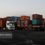 صادرات کشاورزی به ۸ میلیارد دلار رسید؛ تولید داخل ستون اصلی امنیت