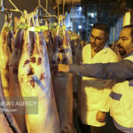 طرح تشدید نظارت بهداشتی دامپزشکی کرمانشاه در رمضان و نوروز اجرا می‌شود