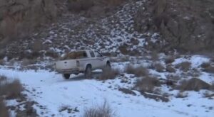 عباس نژاد: آمادگی محیط‌بانان برای شرایط برفی و صعب‌العبور الزامی است