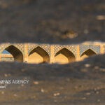 عکاس خبرگزاری مهر برگزیده جشنواره عکس «آب و زندگی» شد