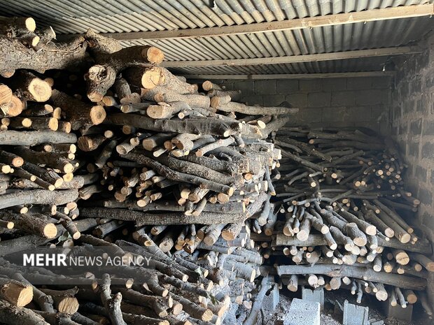 قاچاقچی حرفه‌ای چوب در چمستان نور دستگیر شد